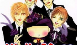 完美小姐进化论漫画,从平凡到璀璨的蜕变之旅